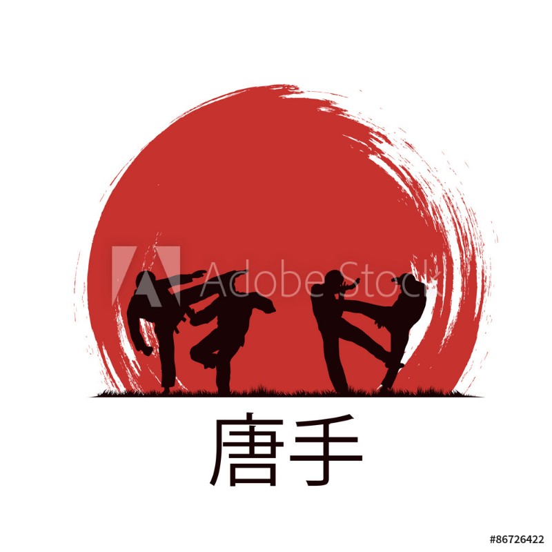 Picture of Men are engaged in karate